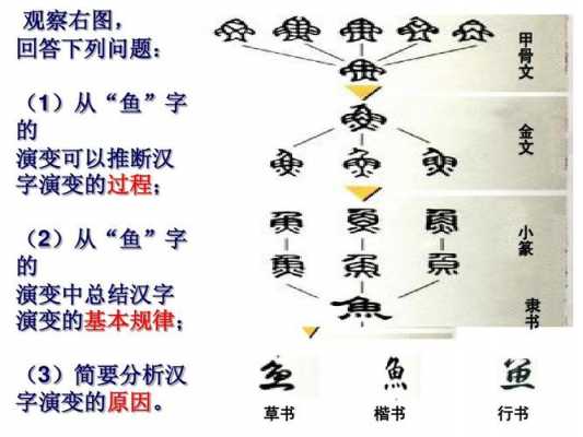 汉字的演变课过程（汉字的演变过程感受和思考）-图2