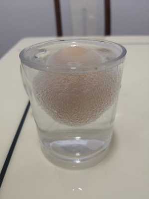 鸡蛋泡盐水实验过程（鸡蛋泡盐水实验过程图片）-图1