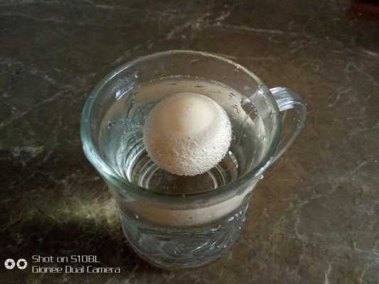 鸡蛋泡盐水实验过程（鸡蛋泡盐水实验过程图片）-图3
