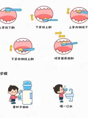 幼儿刷牙的过程（幼儿刷牙的动作要领和注意事项）-图1