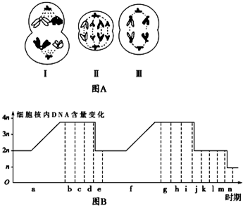在细胞分化过程中（细胞分化过程中染色体数目改变不）-图2