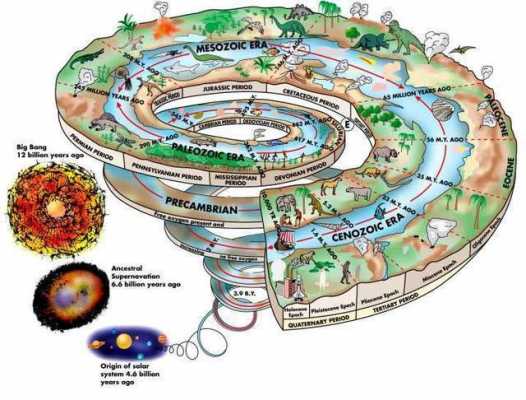 生命演变的过程图片（生命演化的过程说明了什么）-图1