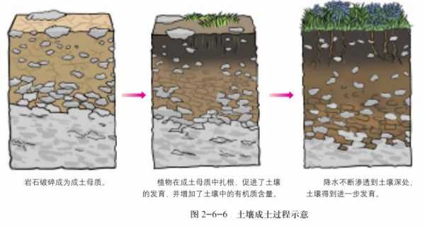 基本土壤形成过程（基本土壤成土过程）-图2
