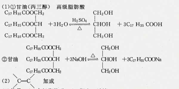 油脂水解反应过程（油脂水解反应生成什么）-图2