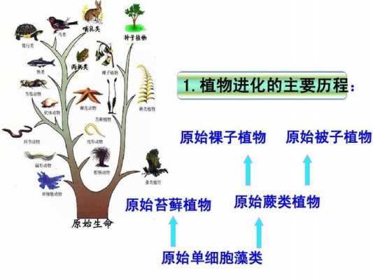 阴的进化过程（阴的进化过程图片）-图2