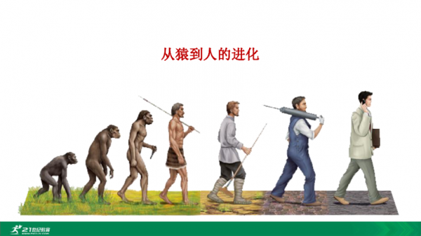 从猿到人进化过程视频（从猿到人的进化过程大致是怎样的?七下生物）-图2