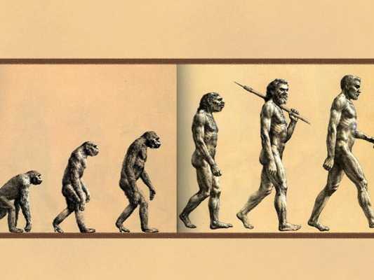 原始人类的变化过程（原始人类的发展）-图1