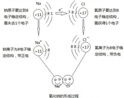 离子的形成过程图（离子的形成是什么）-图1