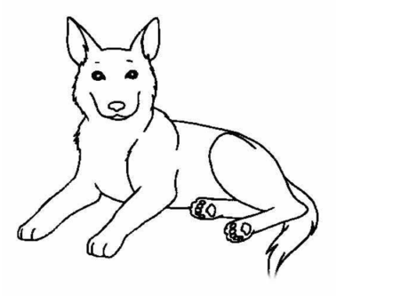 猎狗怎么画过程好看（猎狗的画法）-图1