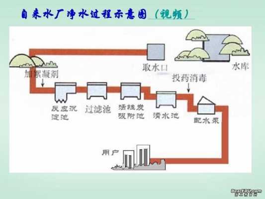 自来水厂净化水过程（自来水厂净水过程示意图）-图1