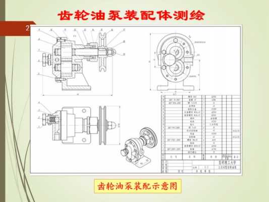 齿轮泵测绘过程（齿轮泵测绘操作过程）-图3