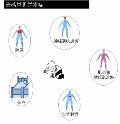 流感侵入人体过程（流感侵入人体过程图）-图3