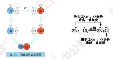 hcl形成过程（hcl是怎么形成的）-图1