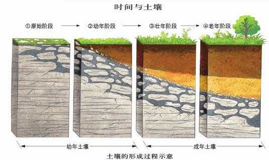 湿地的成土过程（形成湿地的地质条件）-图3