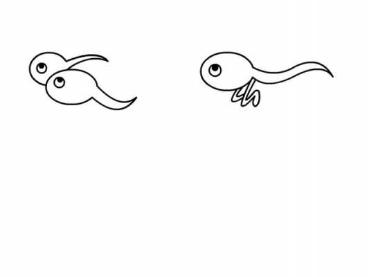 蝌蚪变青蛙的过程图简笔画的简单介绍-图2