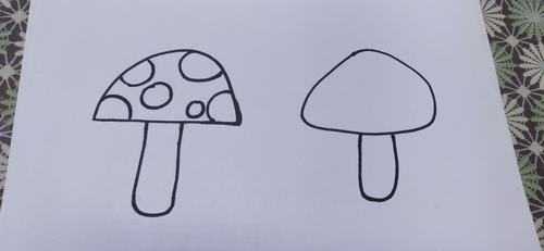 画蘑菇的过程（蘑菇画画视频）-图2