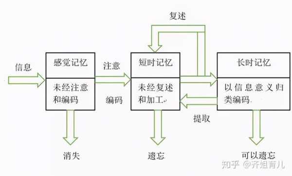 记忆的过程包括哪三个环节（记忆过程包括三个基本环节）-图2