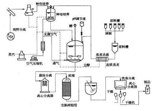 发酵过程的图示（发酵过程流程图）-图1