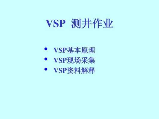 vsp测井过程（vsp测井是什么意思）-图1