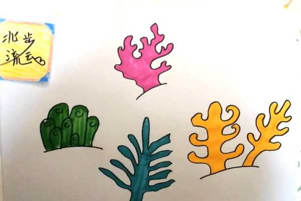 画珊瑚过程（如何画珊瑚?）-图2