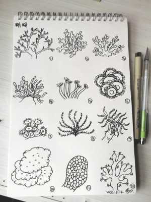 画珊瑚过程（如何画珊瑚?）-图1