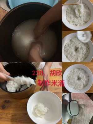 生物制作米酒的过程（生物制作米酒实验过程）-图2