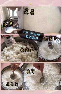 生物制作米酒的过程（生物制作米酒实验过程）-图3