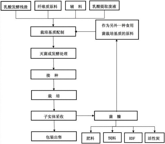 食用菌培育过程（食用菌培育过程图）-图2