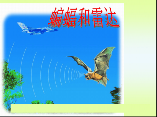 蝙蝠和雷达讲课过程（蝙蝠与雷达的教学过程）-图3