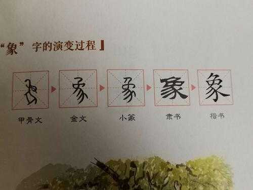 汉字的象形过程（汉字象形文字是由什么发展而来的）-图2