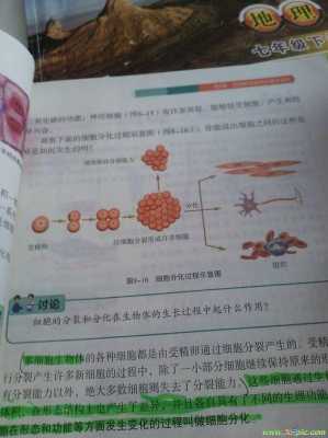 细胞生长蜕皮过程（细胞生长图）-图1