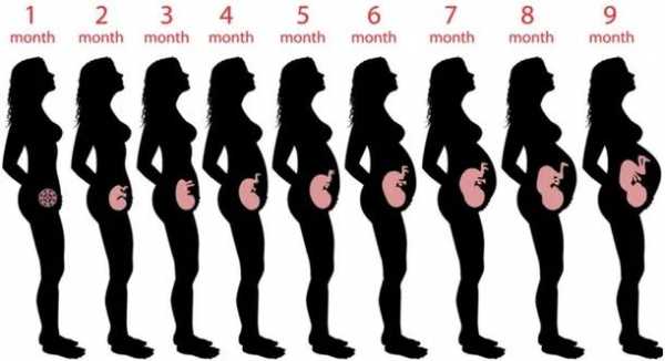 肚子怀孕变化过程图片（怀孕的肚子变化过程）-图3