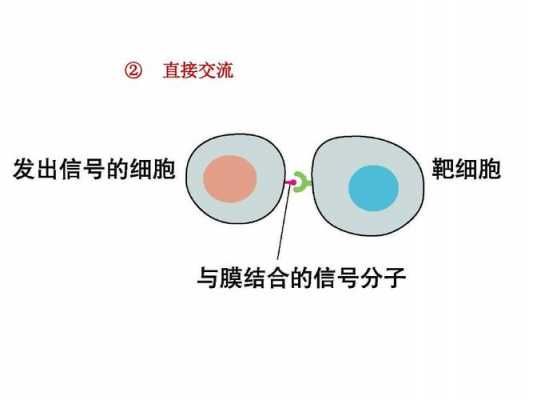 质膜演变过程（质膜的概念）-图1