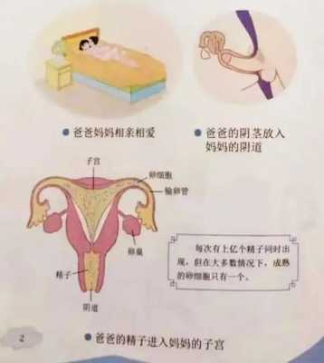 性教育受孕过程视频（性教育受孕过程视频播放）-图1