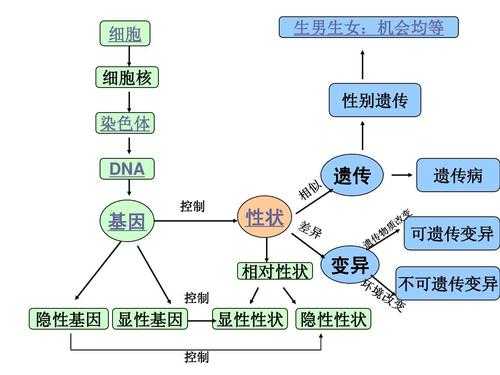 在研究生物遗传物质的过程中（为什么研究生物的遗传和变异必须联系环境?）-图1