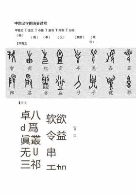 中国汉字演化过程（中国汉字的演变趋势）-图2