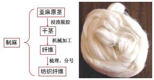 亚麻纤维提取过程（亚麻纤维提取过程图片）-图2