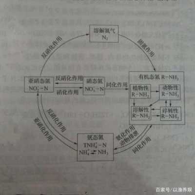 氮循环的过程分析（氮循环的过程分析方法）-图1