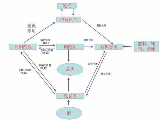 氮循环的过程分析（氮循环的过程分析方法）-图2
