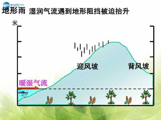 迎风坡降水过程（迎风坡降水过程示意图）-图3