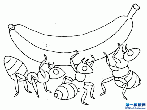 蚂蚁搬食物过程图片（蚂蚁搬食物过程图片简笔画）-图3