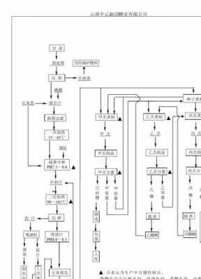 果糖发酵过程（果糖生产工艺流程图）-图3