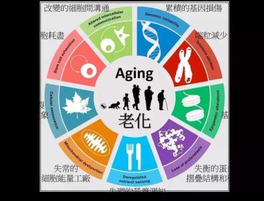老化过程具有那些特点（老化过程具有那些特点和作用）-图2