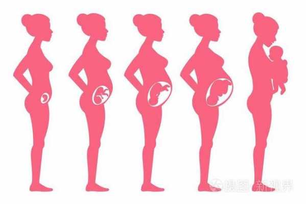 怀孕过程简单图（怀孕过程简单图片大全）-图3