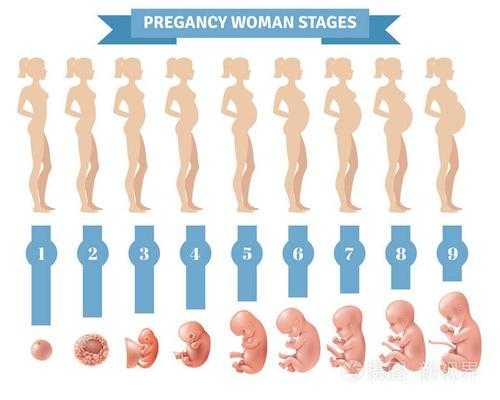 怀孕过程简单图（怀孕过程简单图片大全）-图1