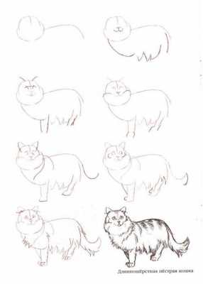 猫咪绘画过程（猫咪绘画过程怎么画）-图1