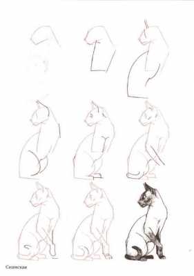 猫咪绘画过程（猫咪绘画过程怎么画）-图2