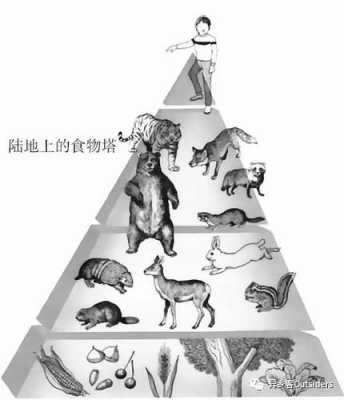 生命进化过程的启示（生命进化过程的启示有哪些）-图2