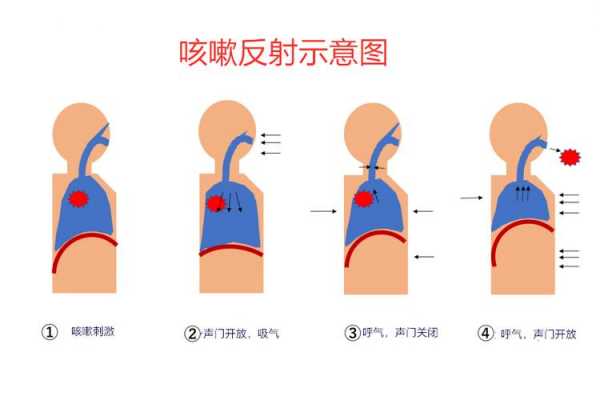 咳嗽反射过程（咳嗽反射定义）-图1