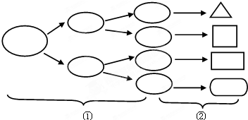 图中1表示什么过程（图中表示的含义是什么）-图1